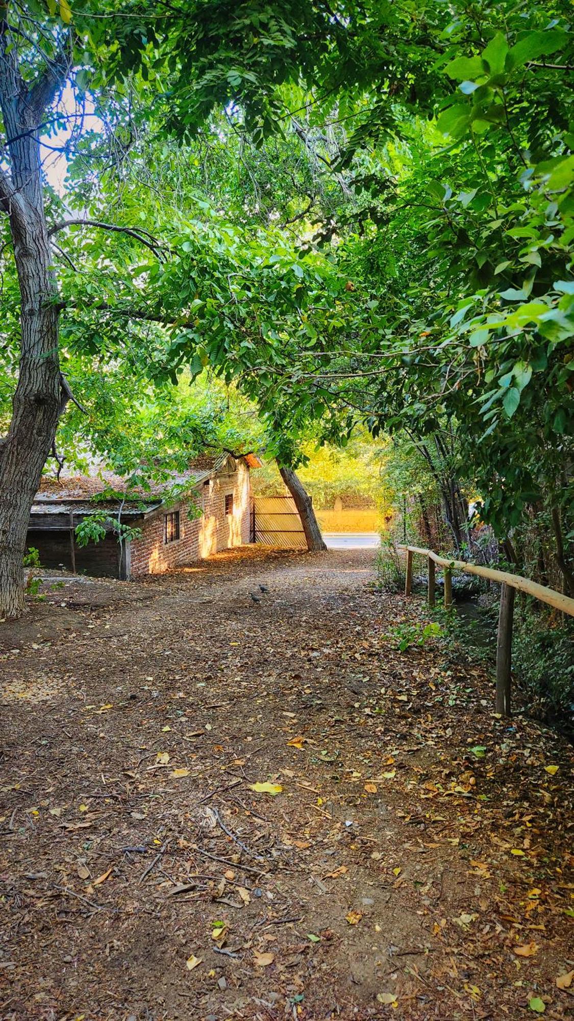 El Jardin, Eco Cabanas Boutique Villa San Alfonso Bagian luar foto